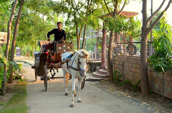 Kangs Nirvana Resorts And Spa Mahalpur 外观 照片